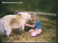 Bestiality - Zoo fucking amateur sex with animals
